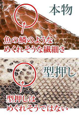 クラウン比較
