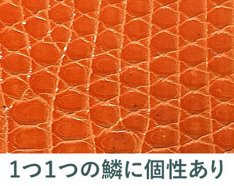 クラウン比較