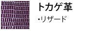 リザード・トカゲ皮